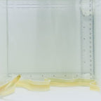 Ghost Ribbon Eel
