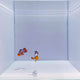 Extreme Bullet Hole Clownfish Pair