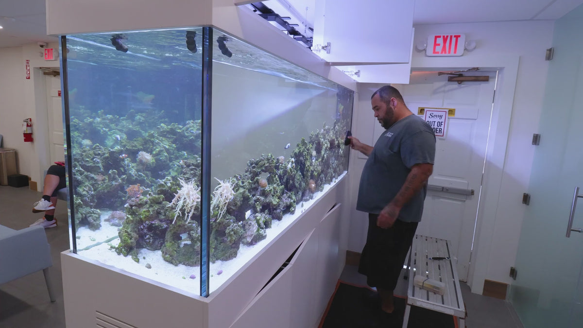 Technician performing commercial aquarium maintenance in a business waiting area