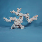 Custom Dry Live Rock Aquascape #38