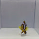 Jumbo Pearl Eye Clarki Clownfish