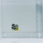 Striped Sweetlips