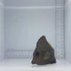 Gem Tang