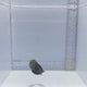 Dusky Margin Wrasse