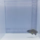 White Spotted Grouper