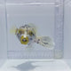 Dalmation Pufferfish (Arothron nigropunctatus)