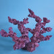 Custom Dry Live Rock Aquascape #18