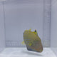 Undulated Triggerfish (Balistapus undulatus)
