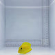 Juvenile Orange Shoulder Tang Fish