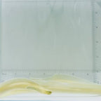Ghost Ribbon Eel