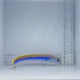 Oreni Tile Fish