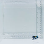 Yellow Patch Cleaner Wrasse