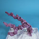 Custom Coralline Dry Live Rock Aquascape #21