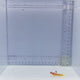 Yasha Hasha Goby Fish