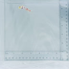 Dracula Goby Fish