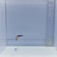 Oreni Tile Fish