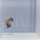 Flying Gurnard Fish