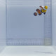 Stubby Premium Black Gladiator Clownfish