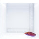 Beau's Fairy Wrasse Fish