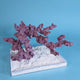 Custom Coralline Dry Live Rock Aquascape #20