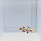 Premium Flurry Clownfish — Amphiprion ocellaris