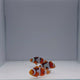 Onyx Picasso Clownfish