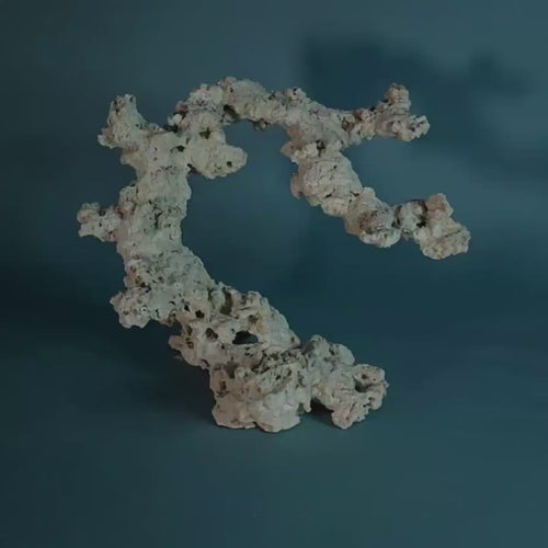 Custom Dry Live Rock Aquascape #08