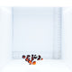 Premium Gladiator Clownfish Pair