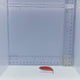 Eight Line Flasher Wrasse Fish