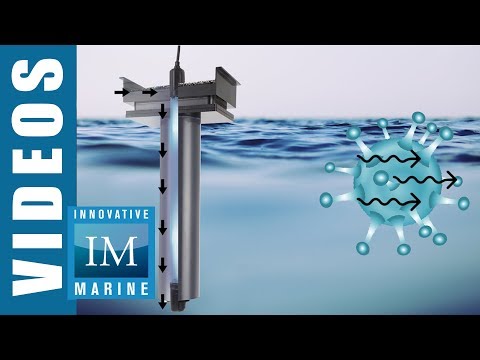 AquaShield 10 Watt UV Sterilizer (Universal) - Innovative Marine