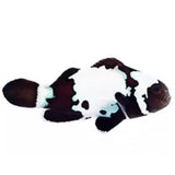 Black Snowflake Clownfish