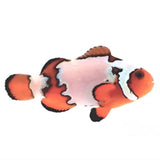 Premium Snowflake Clownfish