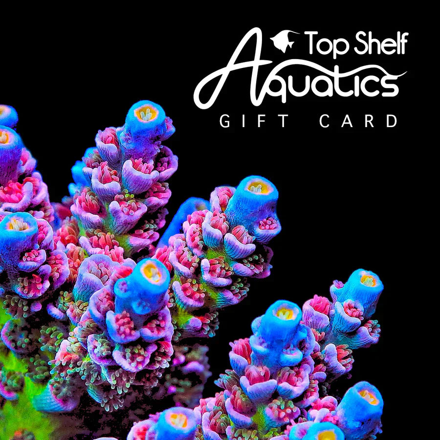 Top Shelf Aquatics Gift Card