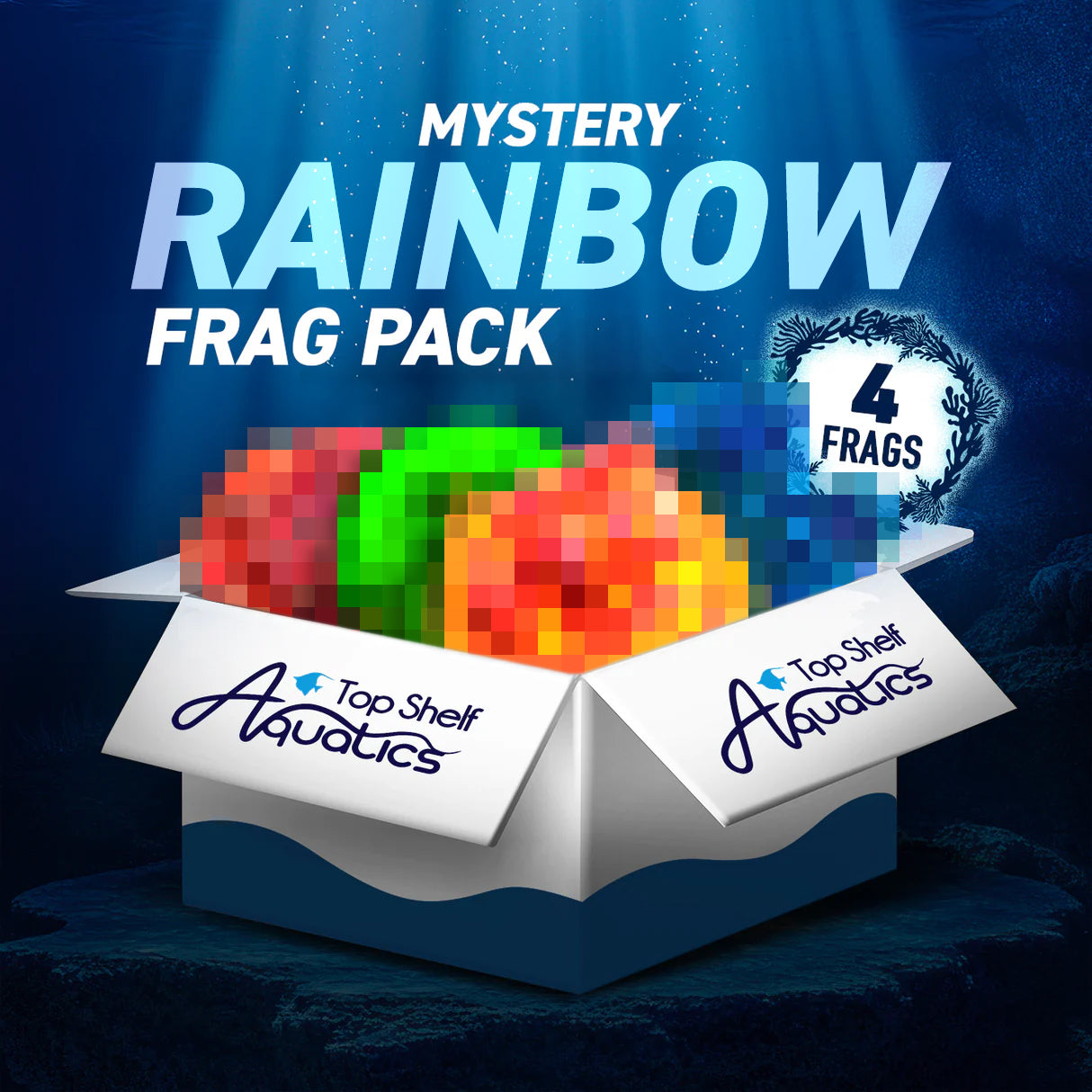 Mystery Rainbow Colors 4 Coral Frag Pack