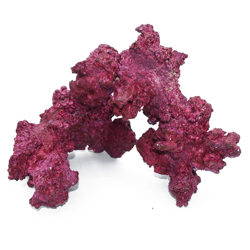 Arches - 4 Pack - Real Reef
