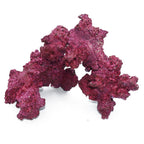 Arches - 4 Pack - Real Reef
