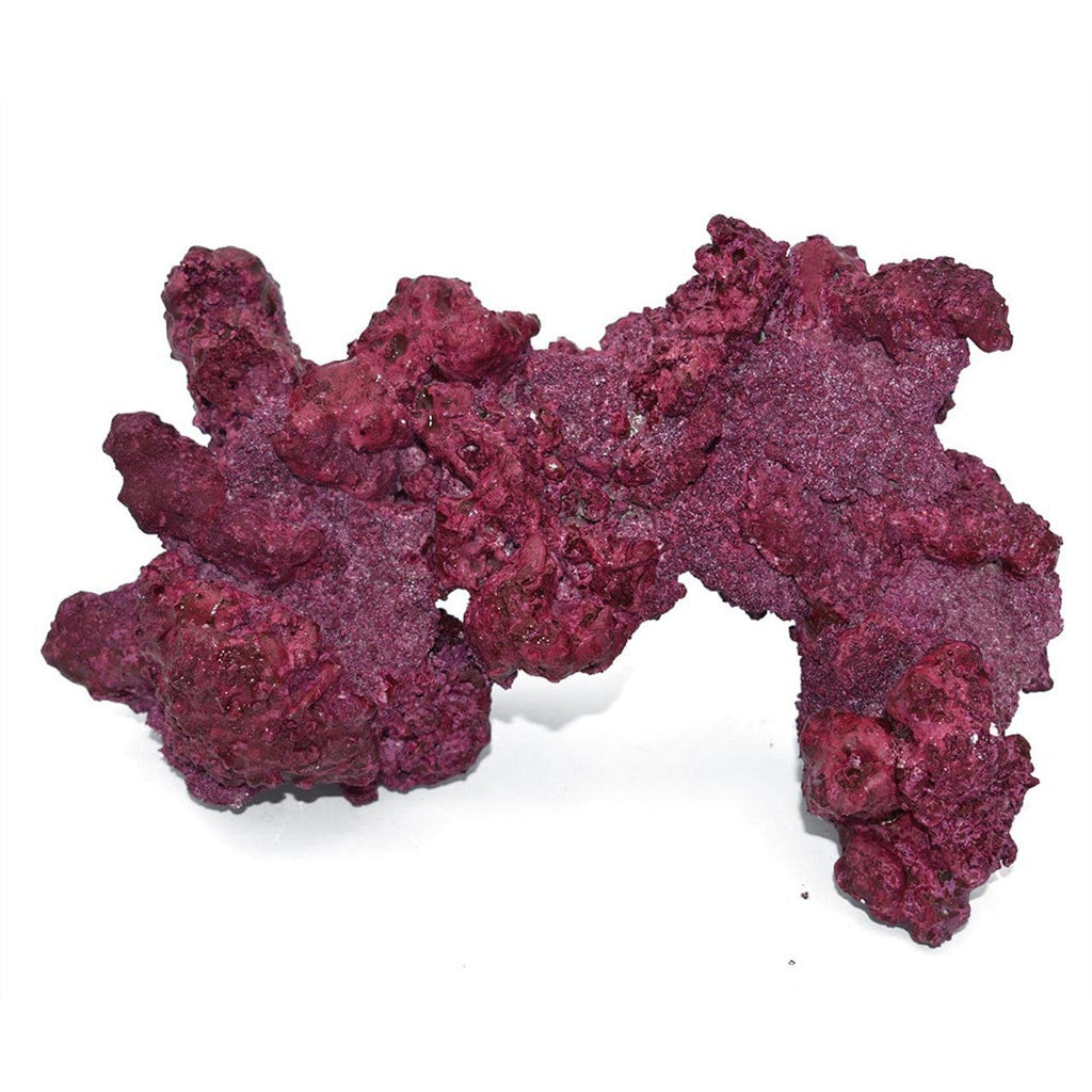 Arches - 4 Pack - Real Reef