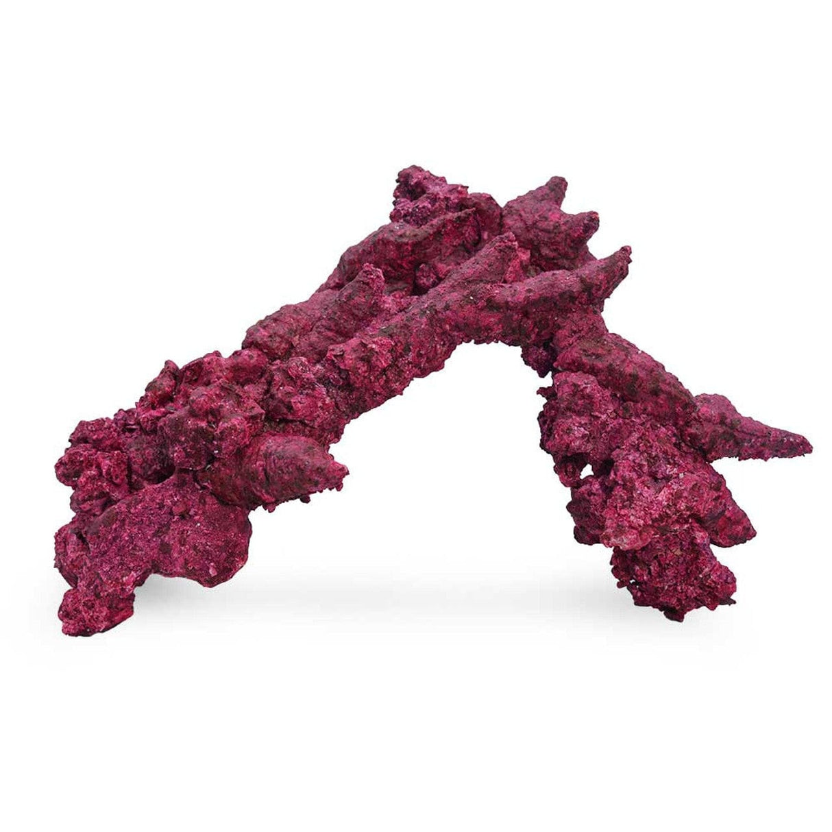 Fancy Arches - 4 Pack - Real Reef
