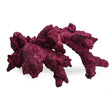 Fancy Arches - 4 Pack - Real Reef