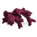 Fancy Arches - 4 Pack - Real Reef