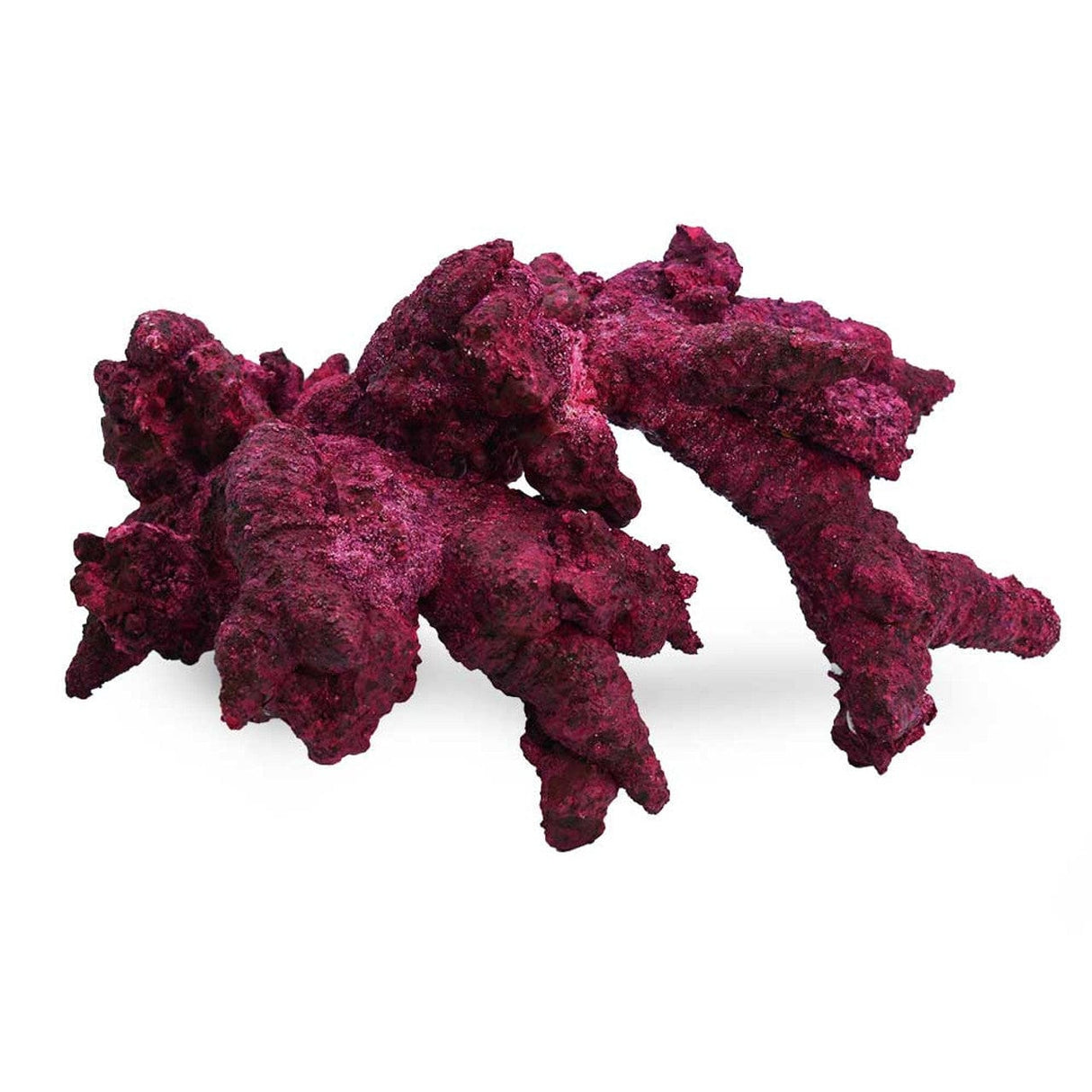Fancy Arches - 4 Pack - Real Reef