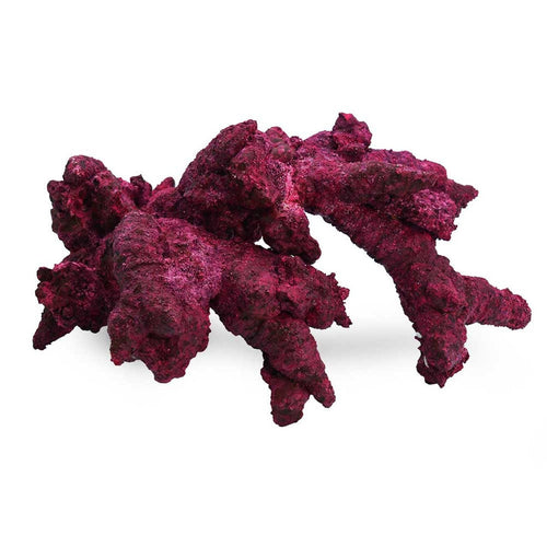 Fancy Arches - 4 Pack - Real Reef