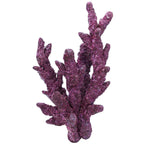Fancy Branch Rock - 30 lbs Box - Real Reef