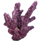 Fancy Branch Rock - 30 lbs Box - Real Reef