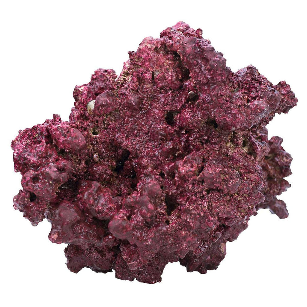 Original Large 8-16" Rocks - (By the lb) - Real Reef