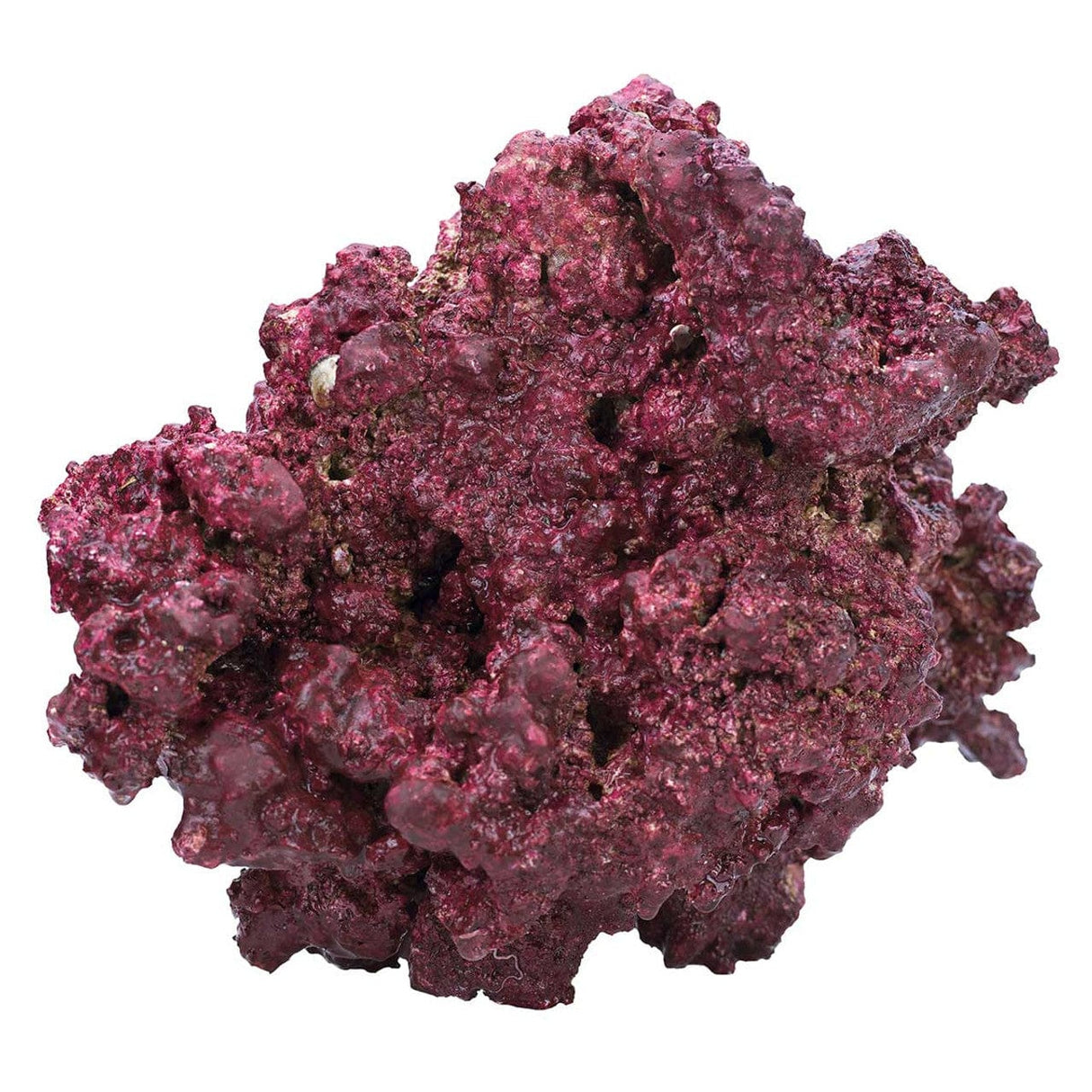 Original Mixed 3-14" Rocks - (By the lb) - Real Reef
