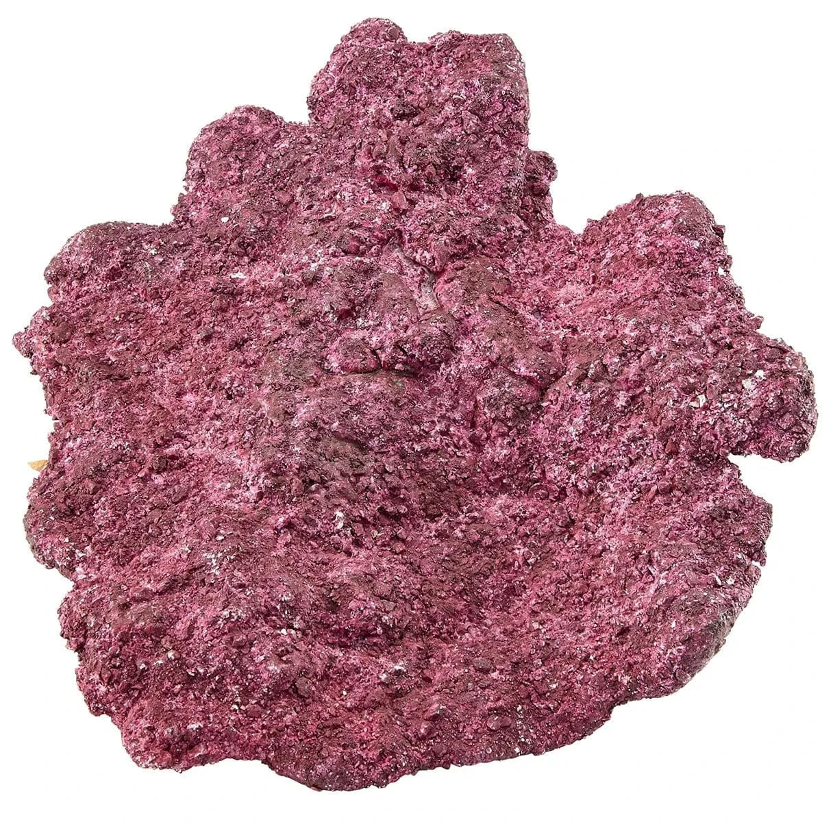 "Reef Ready Box" - 20-40 Gallons - Real Reef