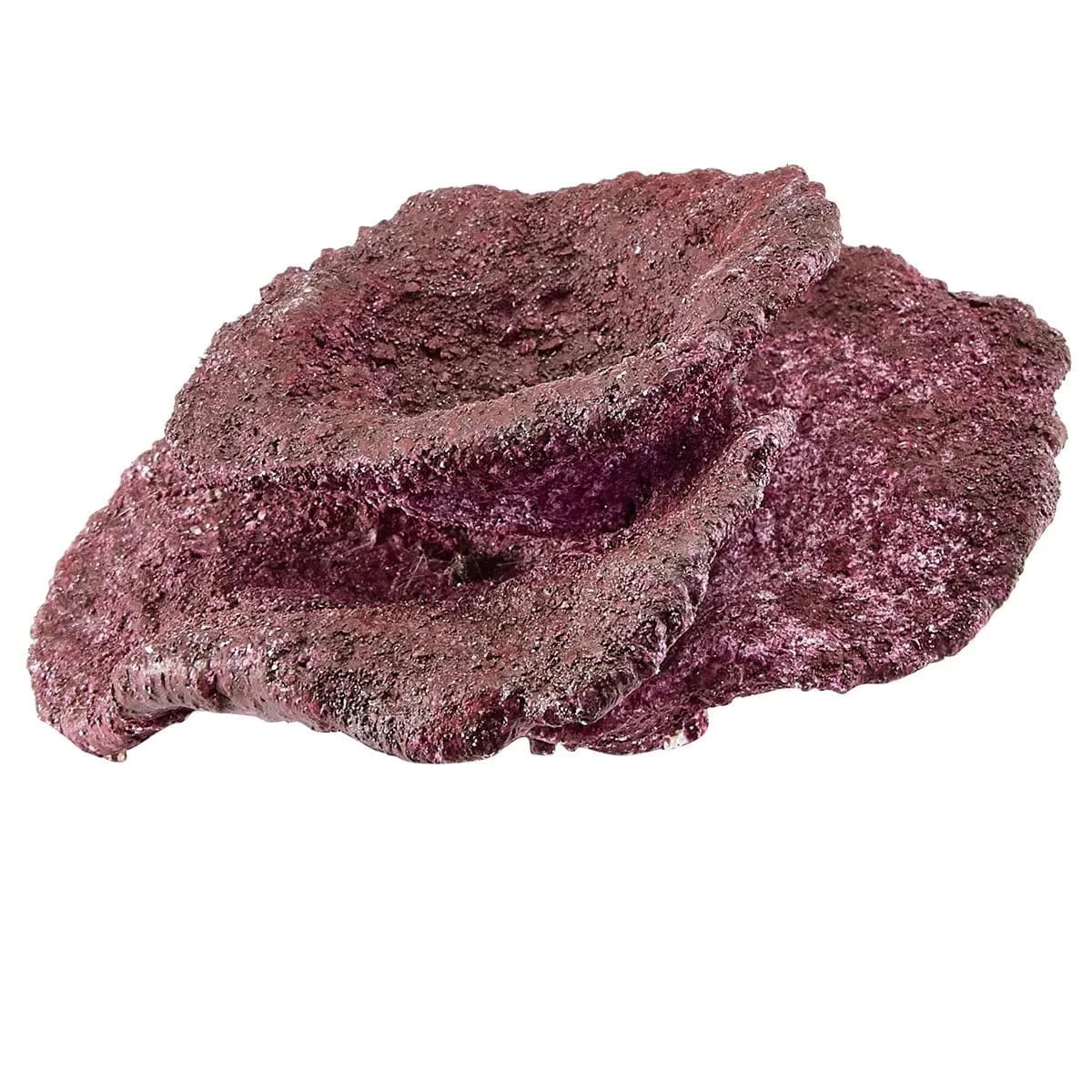 "Reef Ready Box" - 20-40 Gallons - Real Reef
