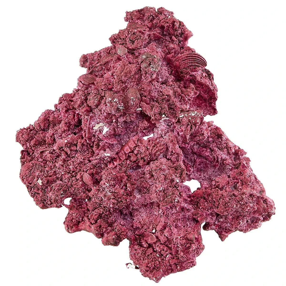 "Reef Ready Box" - 20-40 Gallons - Real Reef