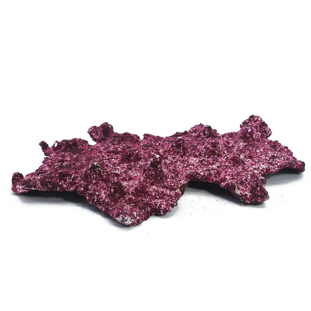 Shelf Rock - 25 lbs Box - Real Reef